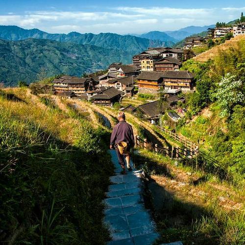 Rizières en terrasses de Longji près de Ping’an